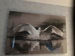 Schilderij zwaan 120x80, Antiek en Kunst, Ophalen