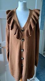 Bruin vest met roezel mt 52, Verzenden, Gedragen, Bruin, Trui of Vest