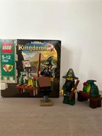 Lego 7955 Wizard, Kinderen en Baby's, Speelgoed | Duplo en Lego, Ophalen of Verzenden, Zo goed als nieuw, Complete set, Lego
