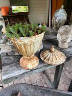Gietijzeren barok pot ca 25cm met deksel en plantjes erbij, Minder dan 30 cm, Rond, Ophalen of Verzenden, Zo goed als nieuw