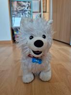 Paco de Hond knuffel, Ophalen of Verzenden, Zo goed als nieuw, Hond