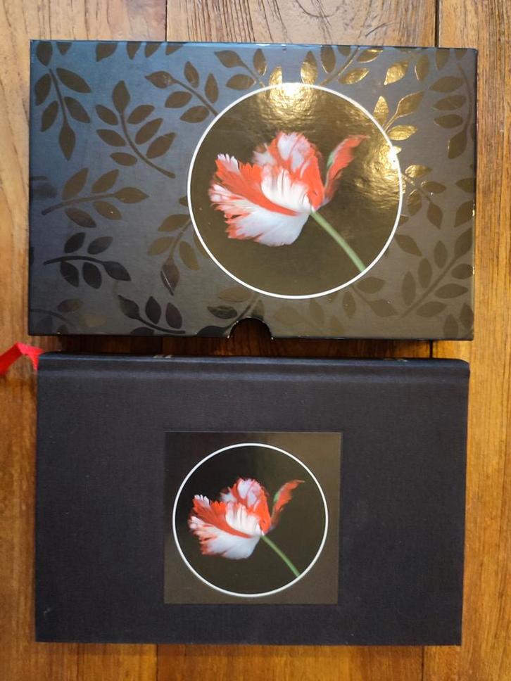 Nieuwe Maan - Luxe Editie in casette, Boeken, Romans, Nieuw, Nederland, Ophalen of Verzenden