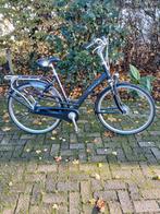 Mooie batavus Mambo nexus 7 en 49cm fram., Fietsen en Brommers, Fietsen | Dames | Damesfietsen, Ophalen, 47 tot 50 cm, Versnellingen