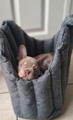 Puppy honden draagtas, Dieren en Toebehoren, Honden-accessoires, Ophalen of Verzenden, Zo goed als nieuw