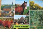 groeten uit Holten - 1978 - paard, Verzamelen, Ansichtkaarten | Nederland, Gelopen, 1960 tot 1980, Overijssel, Verzenden