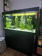 Juwel rio 350 Led (van eind 2023), Dieren en Toebehoren, Ophalen, Zo goed als nieuw, Gevuld zoetwateraquarium