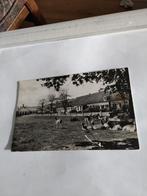 WARNSVELD GROOT GRAFFEL  Hertenkamp 1966, Verzamelen, Ansichtkaarten | Nederland, Ophalen of Verzenden, 1960 tot 1980, Zuid-Holland