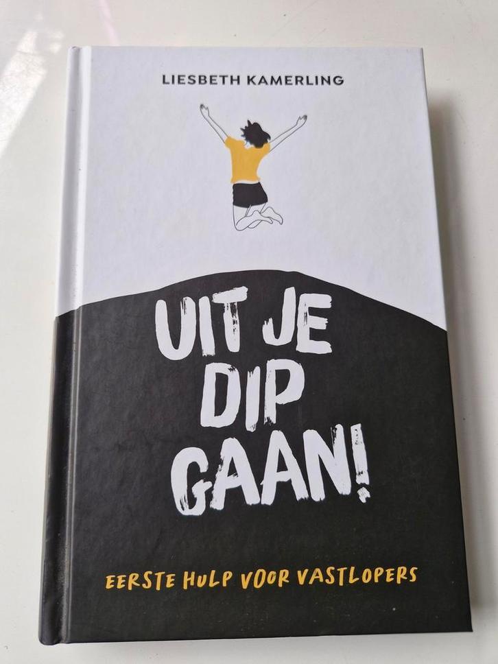 Uit je dip gaan - Liesbeth Kamerling, Boeken, Advies, Hulp en Training, Zo goed als nieuw, Ophalen of Verzenden