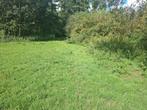 Weidebegrazing voor schapen, Dieren en Toebehoren