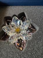 SWAROVSKI seerose rosalinr (waterlie), Verzenden, ., Zo goed als nieuw, Swarovski