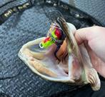 Deel 1) Dubbele Magnum Variegated Dragon Tail snoekstreamers, Watersport en Boten, Hengelsport | Roofvissen, Ophalen of Verzenden