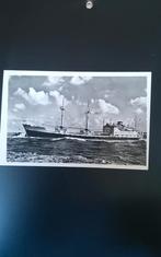 Oude ansichtkaart: Schip ms Amman, Ophalen of Verzenden, Kaart, Foto of Prent