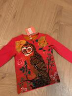 Leuk shirt met uilenprint - Room Seven, Ophalen of Verzenden, Nieuw, Room Seven, Meisje