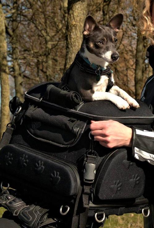 GEZOCHT: Koffer / Tas voor hond op Motor., Motoren, Accessoires | Koffers en Tassen, Gebruikt, Ophalen of Verzenden