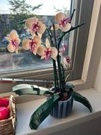 LEGO orchidee 10311 - Botanische Collectie, Kinderen en Baby's, Speelgoed | Duplo en Lego, Ophalen of Verzenden