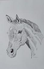 PAARDENHOOFD, Ophalen
