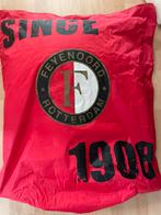 Feyenoord zitzak 100cm x 90cm, Huis en Inrichting, Zitzakken, Ophalen, Gebruikt, Zitzak