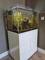 eheim proxima scape 175 Liter, Ophalen, Zo goed als nieuw, Leeg aquarium