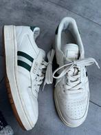 Polo Ralph Lauren Sneakers Groen Maat 38, Ophalen of Verzenden, Zo goed als nieuw, Wit