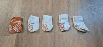 5 paar sokjes, 6 tot 12 maanden beschikbaar voor biedingen