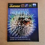 National Geographic Junior - Bijzondere dieren, Ophalen of Verzenden, Nieuw, Wetenschap en Natuur