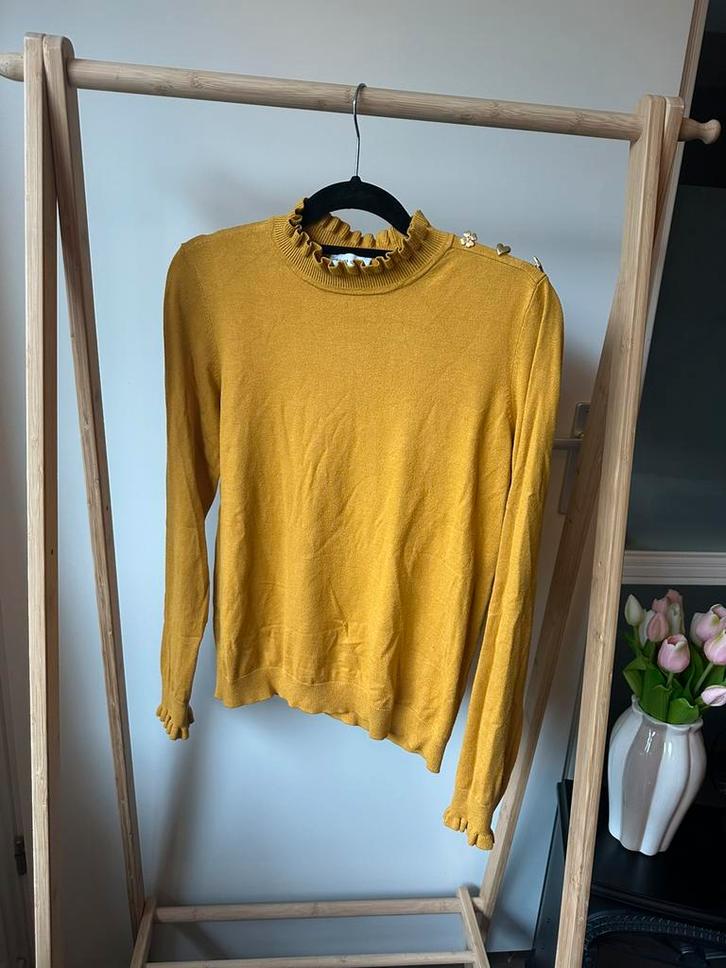 Fabienne Chapot trui lange mouwen okergeel, Kleding | Dames, Truien en Vesten, Zo goed als nieuw, Maat 36 (S), Geel, Verzenden