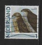 ‹(•¿•)› nl j0539 vogel - havik, Verzenden, Na 1940, Gestempeld