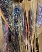 20 bossen lila paarse droogbloemen mix, Ophalen of Verzenden, Zo goed als nieuw