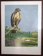 litho roofvogel buizerd A Segboer kunstwerk grafiek, Antiek en Kunst, Kunst | Litho's en Zeefdrukken, Ophalen of Verzenden