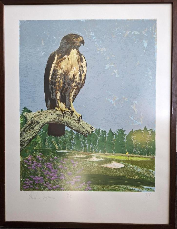 litho roofvogel buizerd A Segboer kunstwerk grafiek, Antiek en Kunst, Kunst | Litho's en Zeefdrukken, Ophalen of Verzenden
