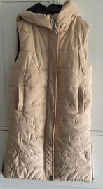 BODYWARMER MAAT L, Maat 42/44 (L), Ophalen of Verzenden, Zo goed als nieuw