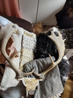 Compleet gewei hert, Antiek en Kunst, Curiosa en Brocante, Ophalen of Verzenden