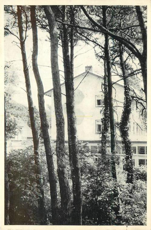 (387-143-001) Nunspeet Dennendal, Verzamelen, Ansichtkaarten | Nederland, Gelderland, Verzenden