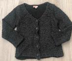 WE vestje 98/104 grijs, Kinderen en Baby's, Kinderkleding | Maat 98, Ophalen of Verzenden, Zo goed als nieuw, Meisje, Trui of Vest