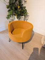 Okergele hondenmand, Ophalen