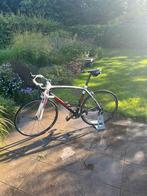 Full Carbon Wielrenfiets - Giovanni, 28 inch, Carbon, Heren, Zo goed als nieuw