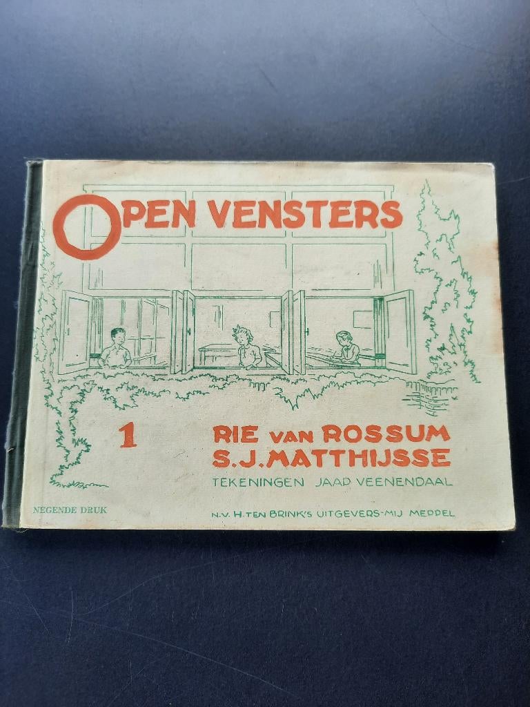 Open vensters 1 rie van rossum, Boeken, Ophalen of Verzenden, Gelezen, Rie van rossum