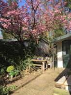 chalet, Tot en met 2