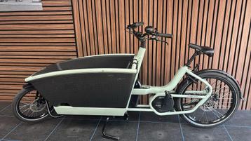 Nieuwstaat elektrische Urban Arrow Family 2024| Bosch| 421km beschikbaar voor biedingen