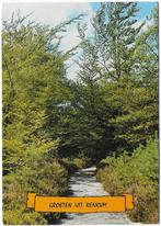 Renkum gelopen Ansichtkaart ( B2649 ), Verzamelen, Ansichtkaarten | Nederland, Ophalen of Verzenden, 1980 tot heden, Gelopen