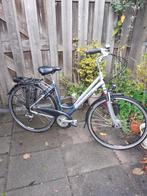 Koga Miyata balance Framemaat 47, Gebruikt, 47 tot 50 cm, Versnellingen, Ophalen