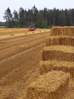 Stropakjes / kleine pakjes stro, Dieren en Toebehoren, Stalling en Weidegang, Weidegang, 4 paarden of pony's of meer