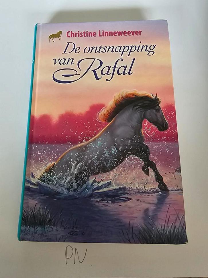 Christine Linneweever - De ontsnapping van Rafal, Boeken, Kinderboeken | Jeugd | 10 tot 12 jaar, Zo goed als nieuw, Ophalen of Verzenden