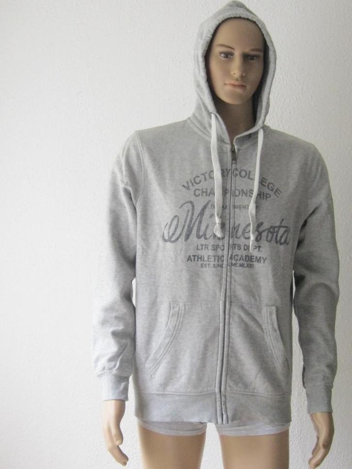 maat L, grijs Angelo Litrico vest / hoodie, 71 cm., Kleding | Heren, Truien en Vesten, Gedragen, Maat 52/54 (L), Grijs, Ophalen of Verzenden