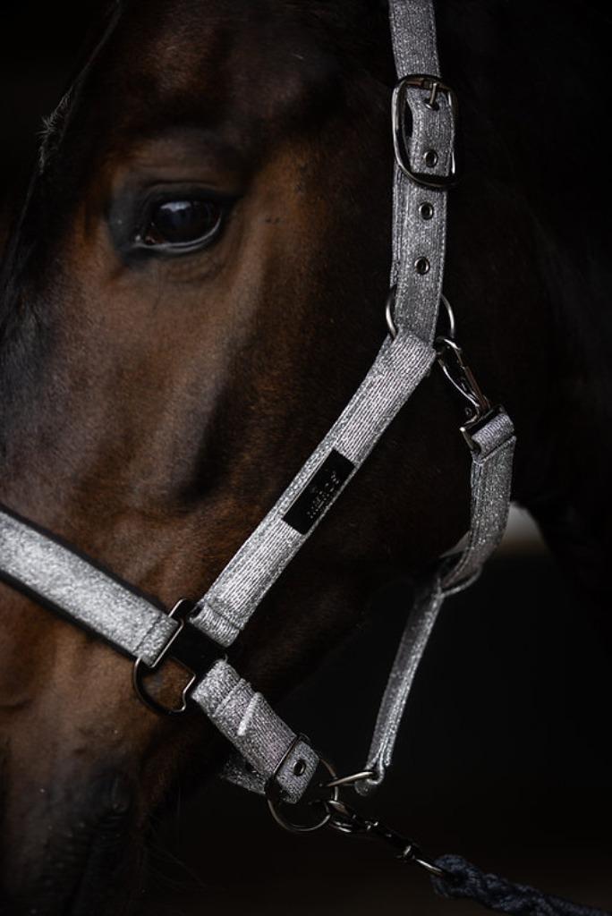 Mrs Ros Halster Set Festive Sapphire – Verstelbaar & Glitter, Dieren en Toebehoren, Paarden en Pony's | Hoofdstellen en Tuigage