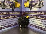 Kia picanto stuurhoek sensor sleepring, Auto-onderdelen, -, -, Ophalen of Verzenden, -