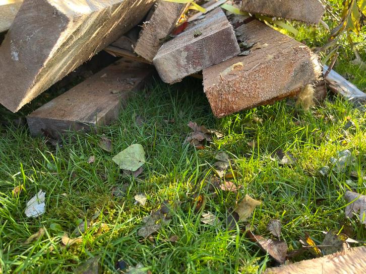 Vloerbalken 150x50 - Balklaag, Doe-het-zelf en Verbouw, Hout en Planken, Gebruikt, Balk, Overige houtsoorten, Minder dan 200 cm