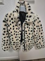 Hema Jas Maat 110/116 - Zo goed als nieuw!, Meisje, Ophalen of Verzenden, Zo goed als nieuw, Hema