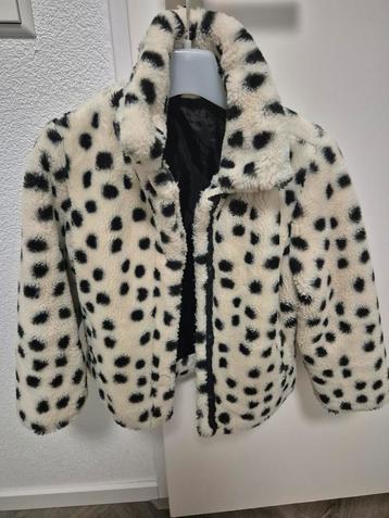 Hema Jas Maat 110/116 - Zo goed als nieuw! beschikbaar voor biedingen