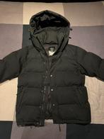 In Gold We Trust winterjas maat M, Kleding | Heren, Jassen | Winter, Maat 48/50 (M), Zwart, Ophalen of Verzenden, In Gold We Trust